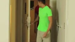 ChÃ¢u Ã Cho TÃ¢y MÃºt Cu