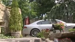 Bodyguards