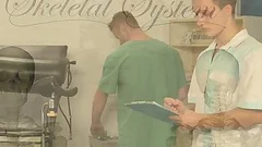 lovely Doctor