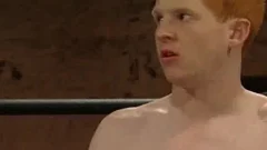 Boxers plow