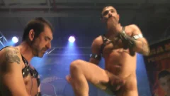 homosexual Pornstars plowing On Stage