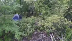 Into The Woods