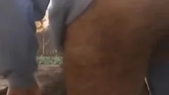 Straight lad Dino sucks Me