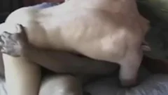 BB