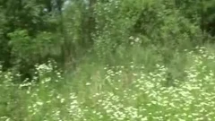 valuable Outdoor homo Sex