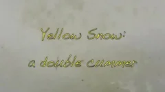 yellow snow