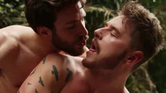 Porn41