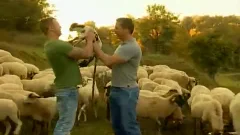Latin Sheperds banging