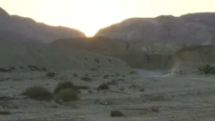 Israeli dril