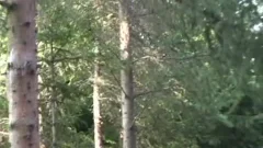 Skater Hoy boyz In Nature