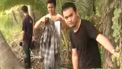 oriental bunch bang