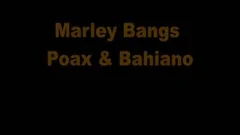 Lucas Fox Marley Poax