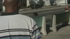 Winston And Infinity Love pokeing Outside