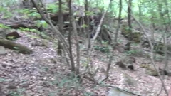 jockbreeders: Bromance Takes a Fucky Turn in Forests