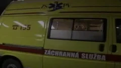 Muchachos de Suiza