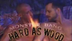 Hard As Wood