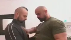 worthwhile Bear slam
