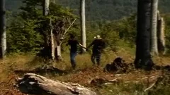 Anal fucks outdoors