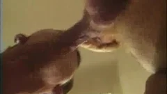 Plumber bareback gloryhole video
