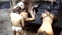 raw Bears In Dungeon+Pissing Pigs