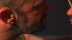 American Bears Scene 2