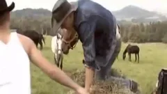 Dos Vakeros En La MontaÃƒÂ±a Cojiendo Rico Parte Dos