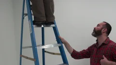 Bear Films: Unleashing the Bearded Daddy's Big, Uncut Tool