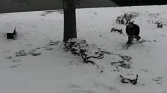 2 friends have sex to warm up