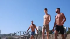 Three Muscled guys Having hammer pleasure