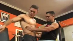 Latino Bb