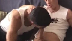 Muscle
