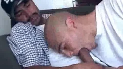 Latino trio