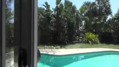 gay Sex 233