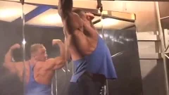 Muscle Muscle