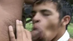 Barnyard butt Sex