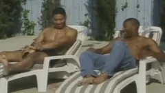 black cock By The Pool