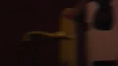 4 lads In tastyel Room