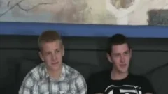 gay