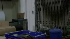 Sex Connection