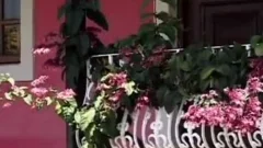 stylish Sex slave Is handcuffed To A palpitating 10-Pounder