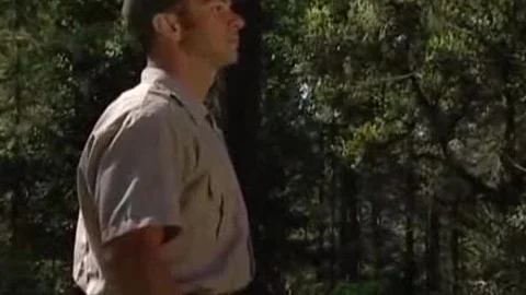 Forest Restroom