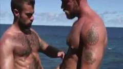 sucking schlong By Tthellos chab Ocean