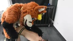 Puppy acquires banged By Fursuit With  fake penis