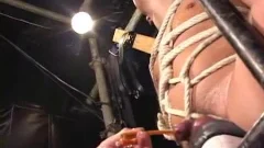 HERCULAS FIERCE GOD