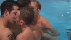Swim Team Breeding