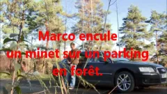 Baise Sur Un Arking En Fôret