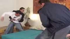 OrgÃ­a homosexual