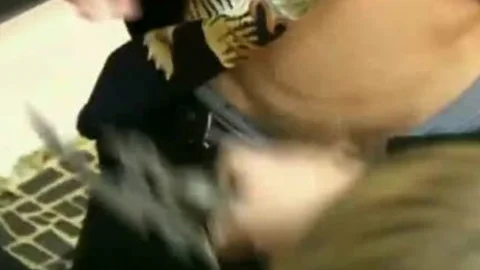 3 teens suck & bang