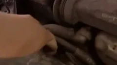 screw Me Hard