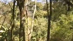 Capoeira 14 - Scene three